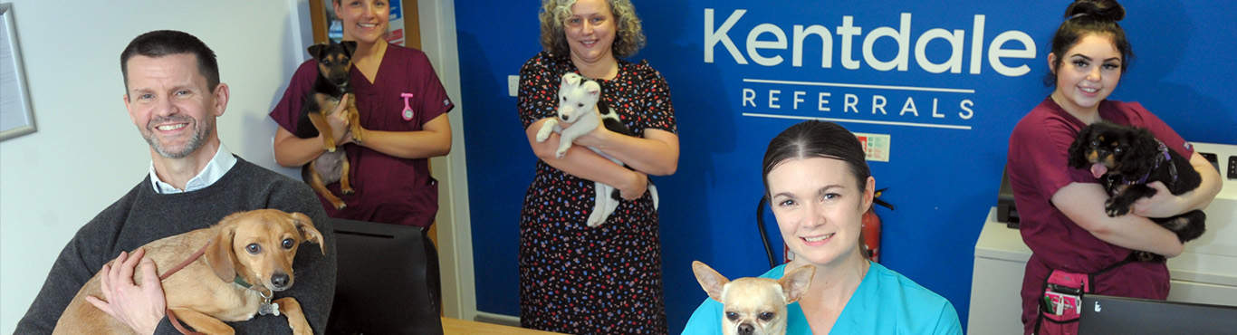 Meet The Team at Kentdale Referrals