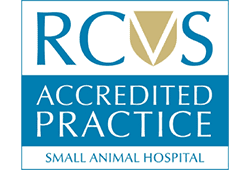 rcvs accredited practice sah