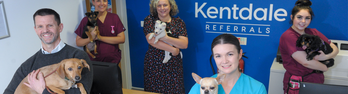About Kentdale Veterinary Referrals in the north west of England