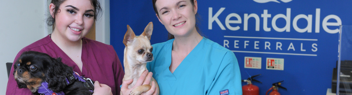Registered Veterinary Nurse (Days/Nights)