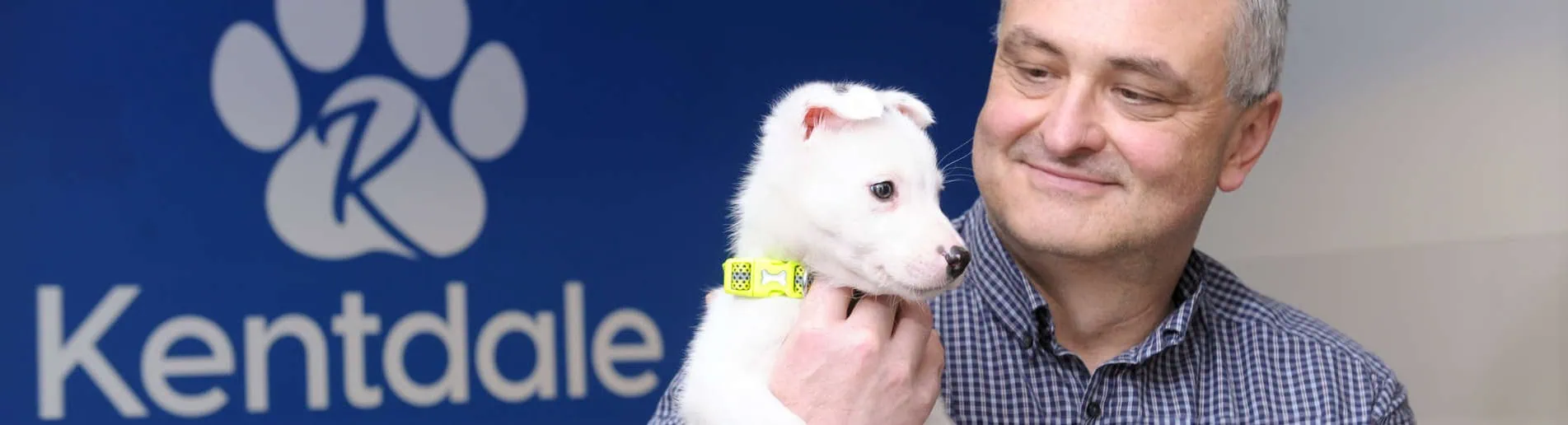 Kentdale Veterinary Referalls Legal Notice