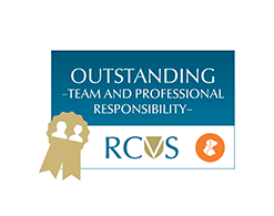 outstanding teams prof responsibility logo