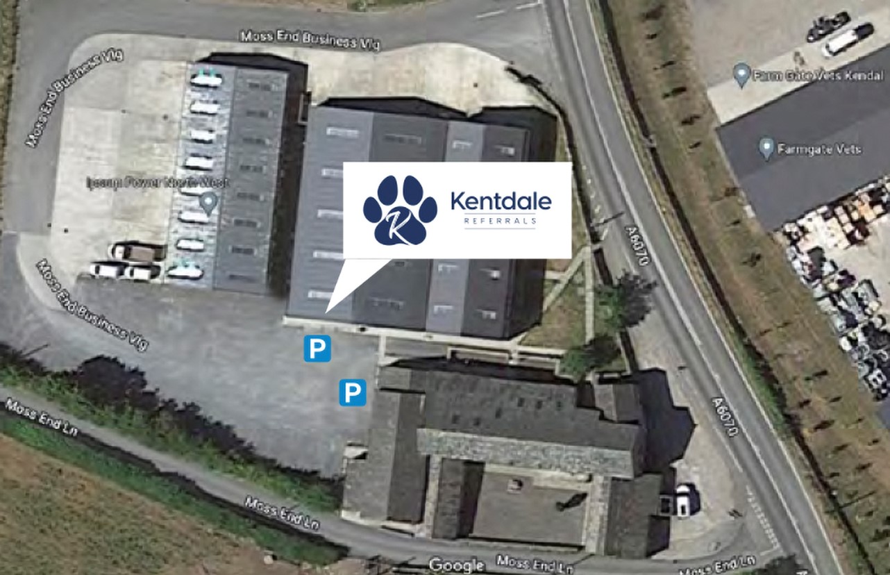 car parking at kentdale vets