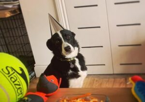 nell-celebrating