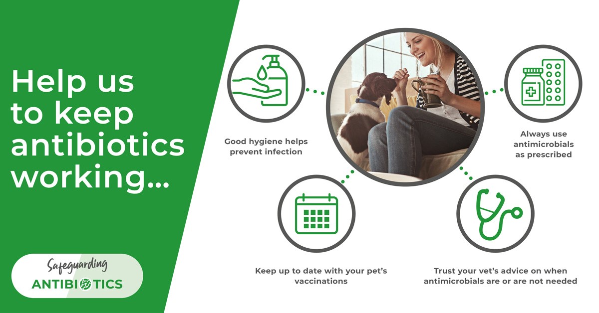 keep antibiotics working