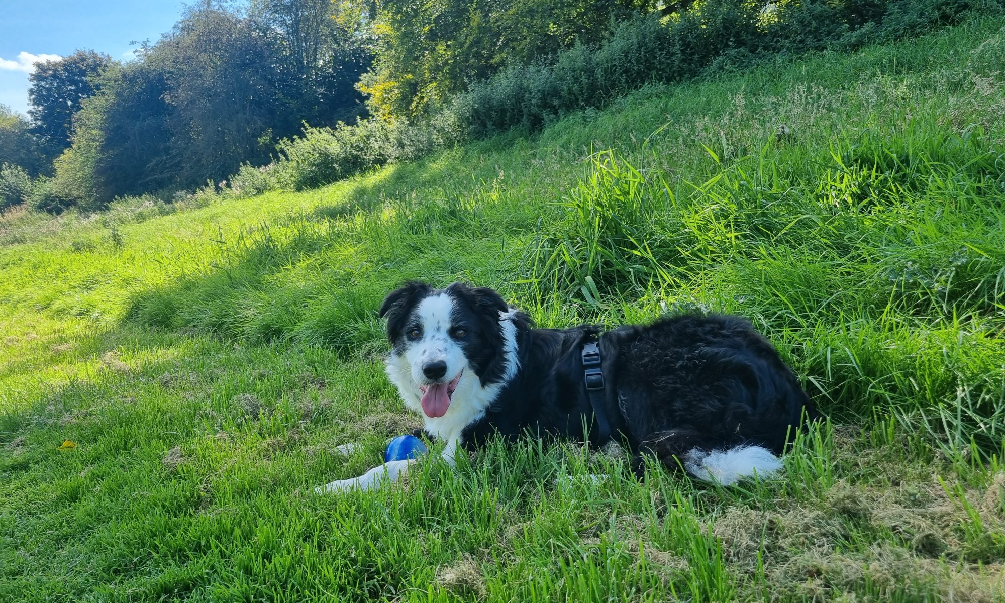 Kit
