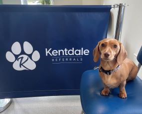 Lola in front of Kentdale