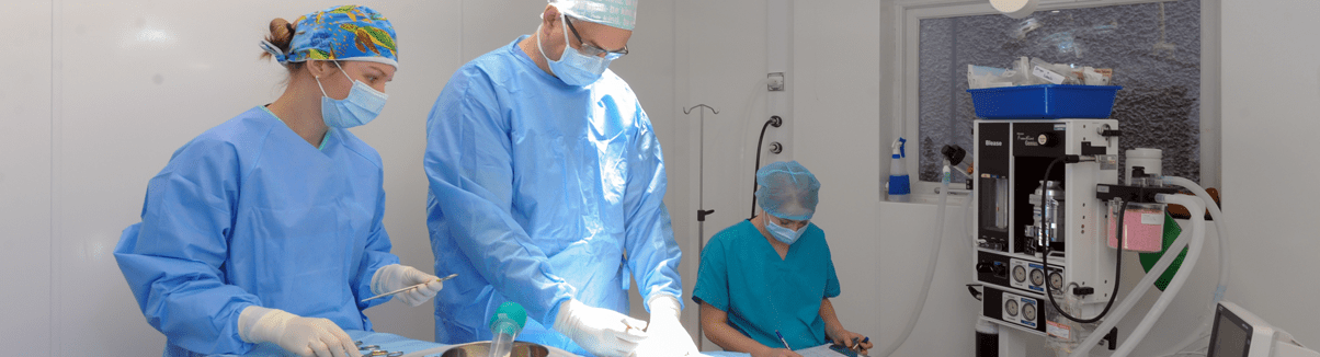 Arthroscopy or Keyhole Surgery at Kentdale Veterinary Referrals