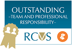 rcvs outstanding team professional responsibilty