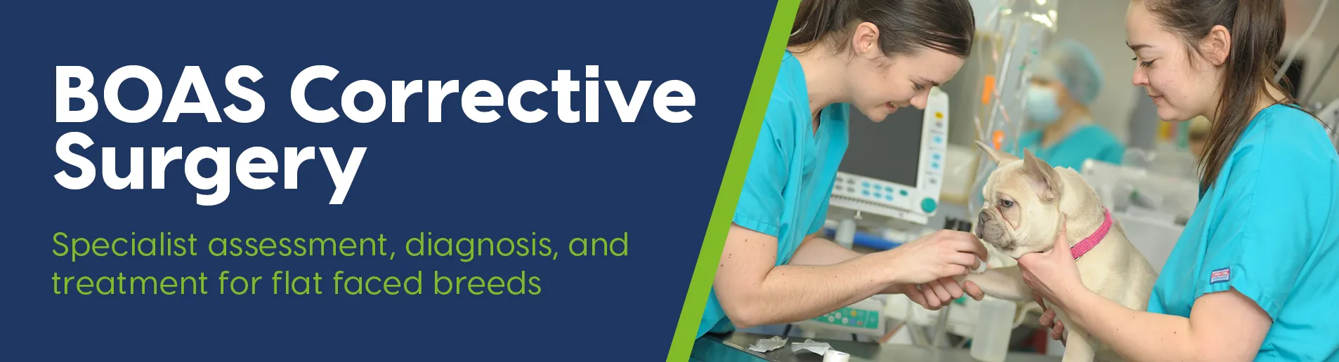 Kentdale Veterinary Referalls Legal Notice