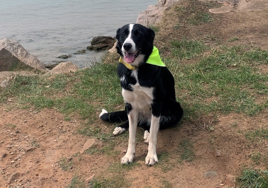 nell-on-the-beach