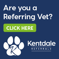 Are you a referring vet? Click here to Refer now