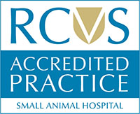 Small Animal Hospital logo